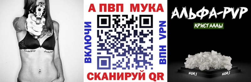 Альфа ПВП СК КРИС  Северобайкальск 
