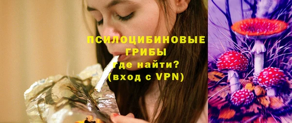 сатива Балахна